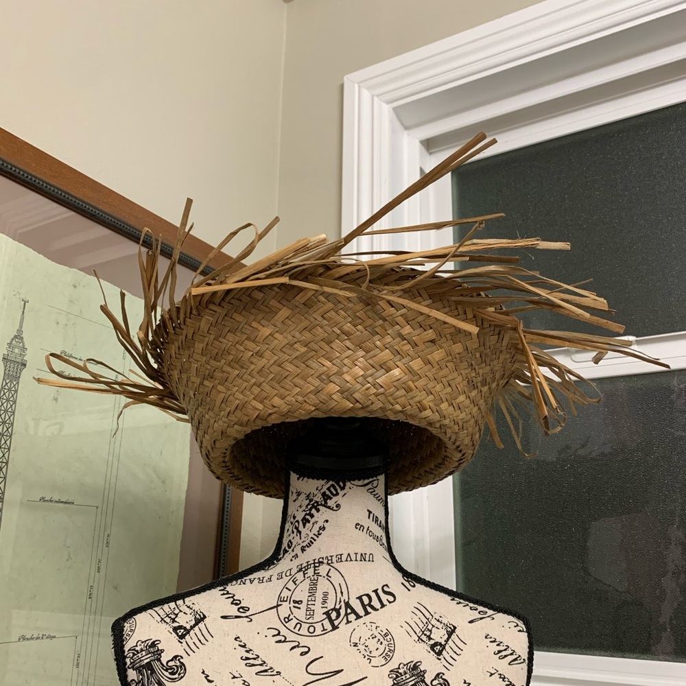 Party Straw Hat 👒